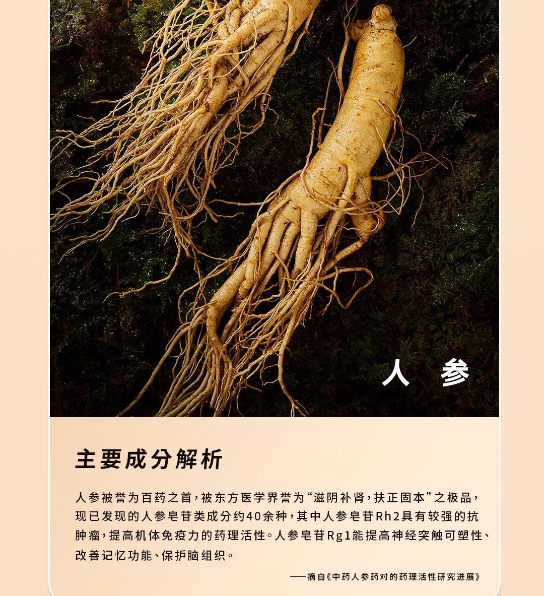 c长图_06.jpg