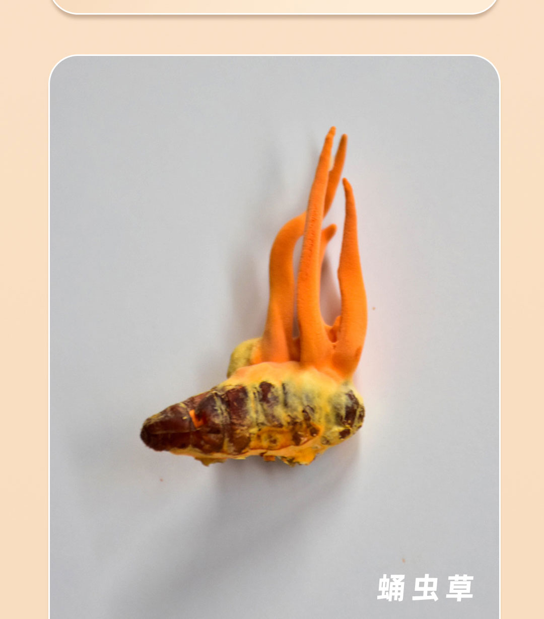 c长图_07.jpg